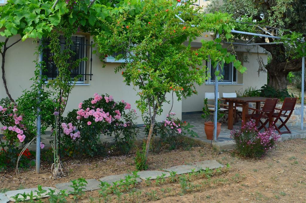 Villas Zoe Ksanemos Экстерьер фото